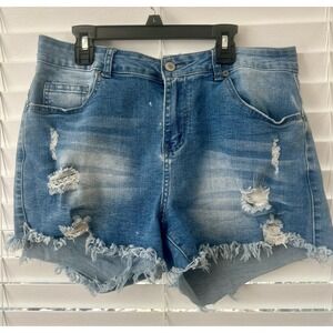 Y2K, Distressed denim Cut-off shorts women's size large waist 32